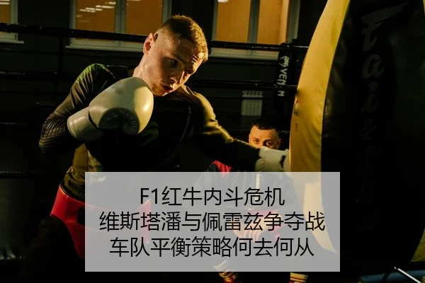 hong-niu-nei-dou-wei-ji-wei-si-ta-pan-yu-pei-lei-zi-zheng-duo-zhan-che-dui-ping-heng-ce-lve-he-qu-he-cong-2-202.jpg